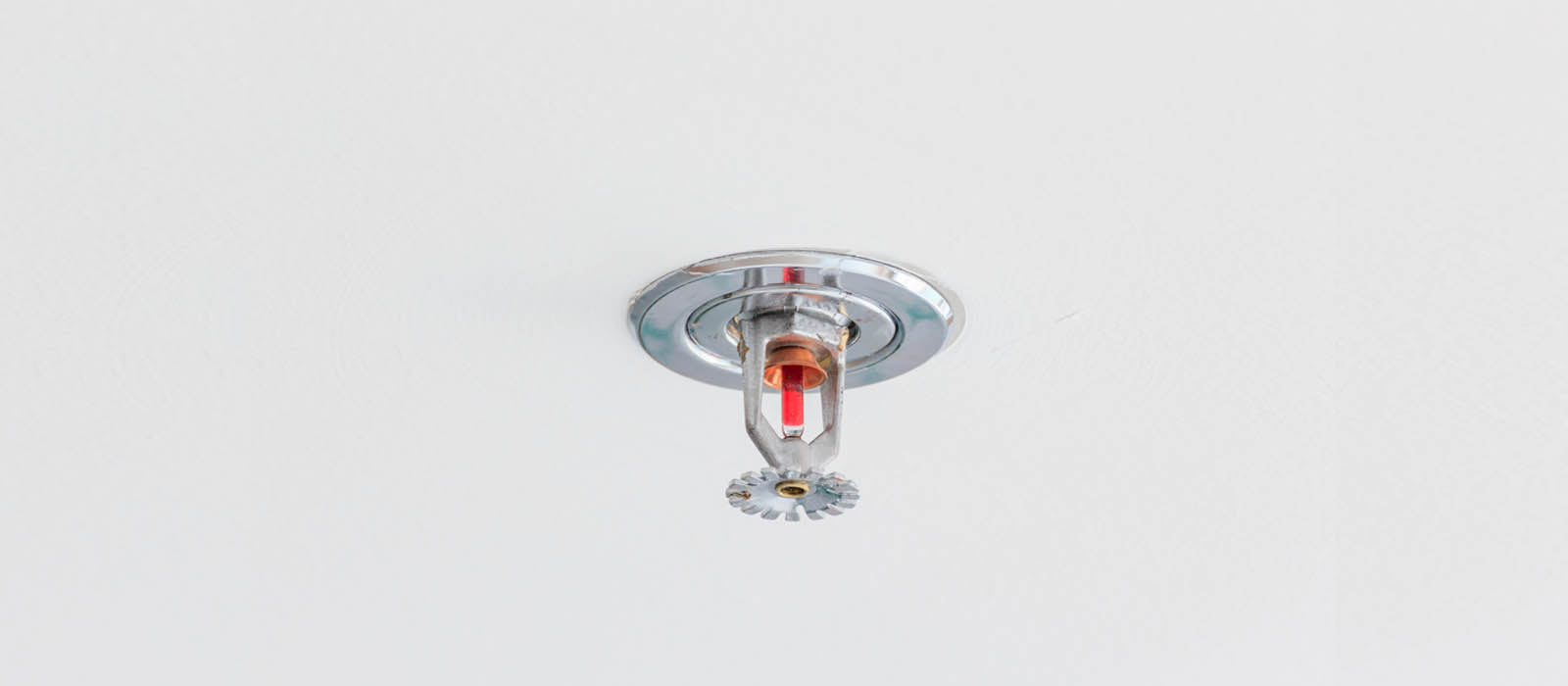 Understanding the Importance of Sprinkler Systems