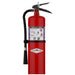 Amerex 10 lb. Purple-K Fire Extinguisher - B460