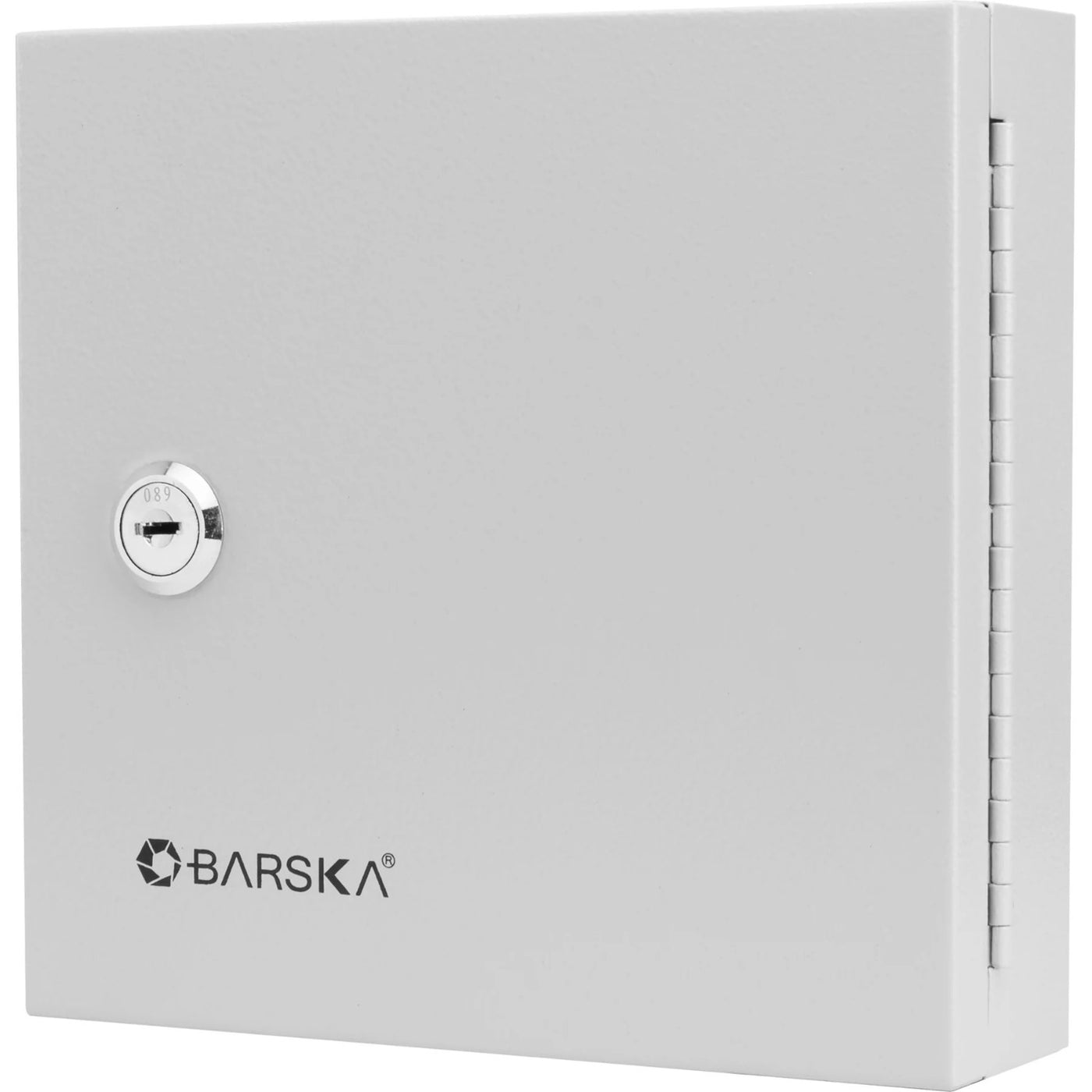 Barska 10 Position Key Cabinet with Key Lock, White Tags - CB13362 ...